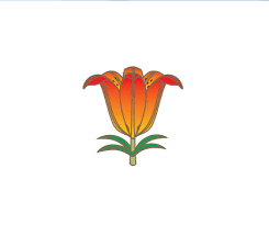 лого подруги.png