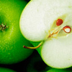 Редактор форума Здоровье