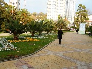 fb4ef8