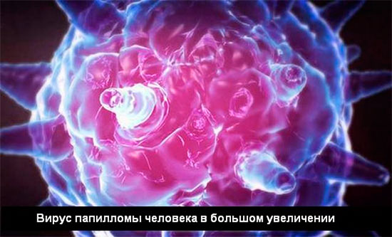 13f611dc99e31c5fd8779e2b938bcaba.jpg