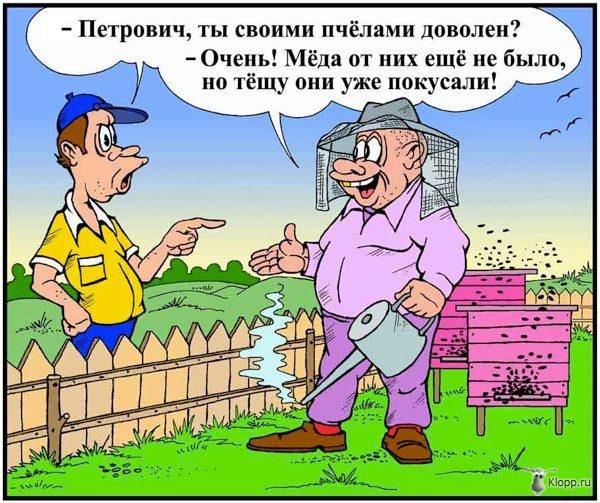 1ee95ca6f37096e128fb80e6b70072d1.jpg