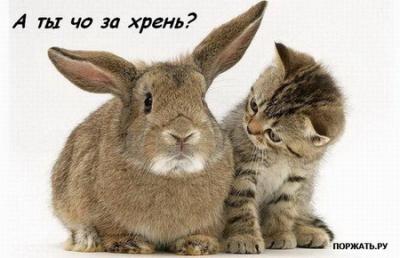 289b022b68bfc1db4bf00356ef3420d2.jpg