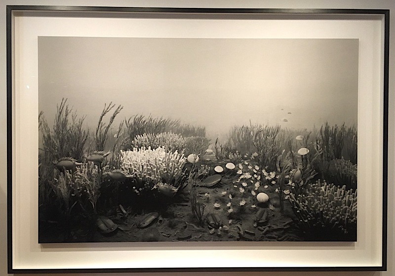 18-Хироши Сугимото. Cambrian Period. Gelatin, silver print. 1992.jpg