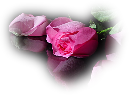 2cf7a2a3e774332f8622316561232d19.png