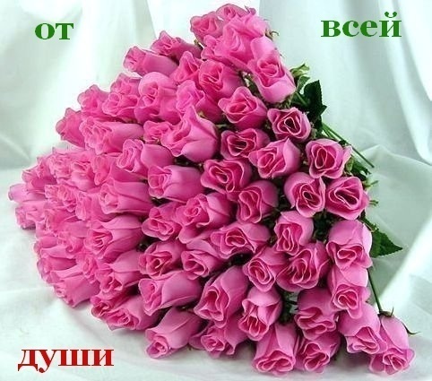 472710db508085a0da73de86f0e4cae4.jpg