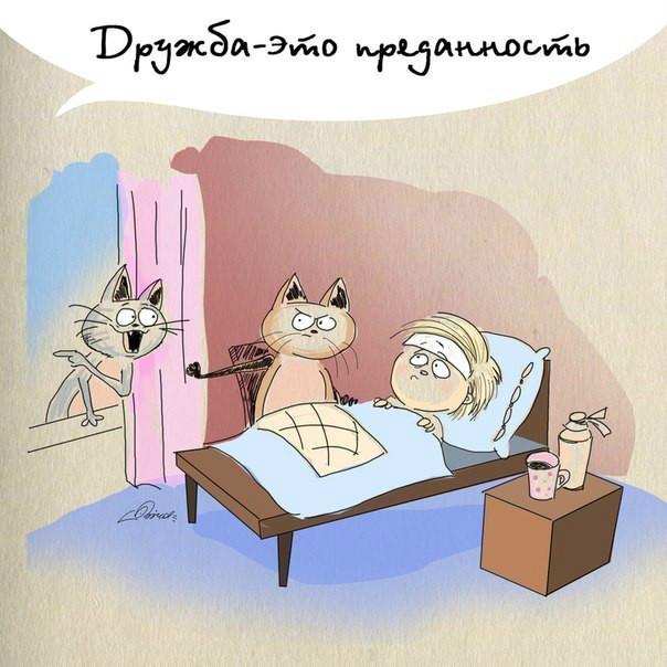 52edda5f2b26e6efa466f051fd6d0ac9.jpg