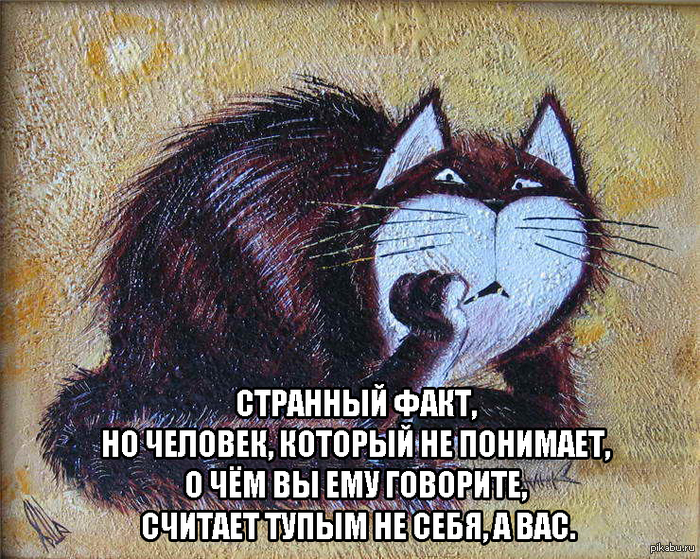 5842ea02530bb5a8bdfb183eebc82bdd.jpg