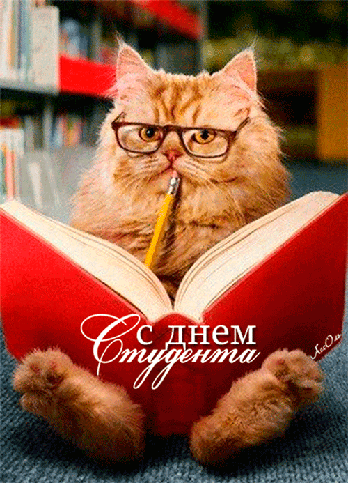 5903a5a1caff3a4416027893b01a7794.gif