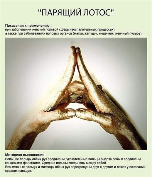 5a3bbb453d2faa7b61bb1284215ab0fa.jpg