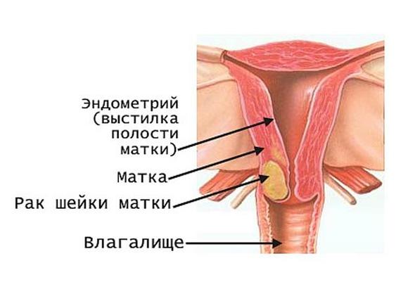 5cc9f875e19066b53aa4c5bc9fc8e543.jpg