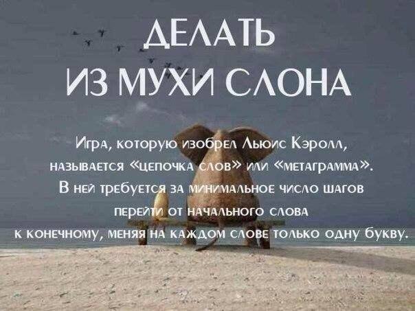 7dd73cc6f39e5218aeaca1f749bd72e3.jpg