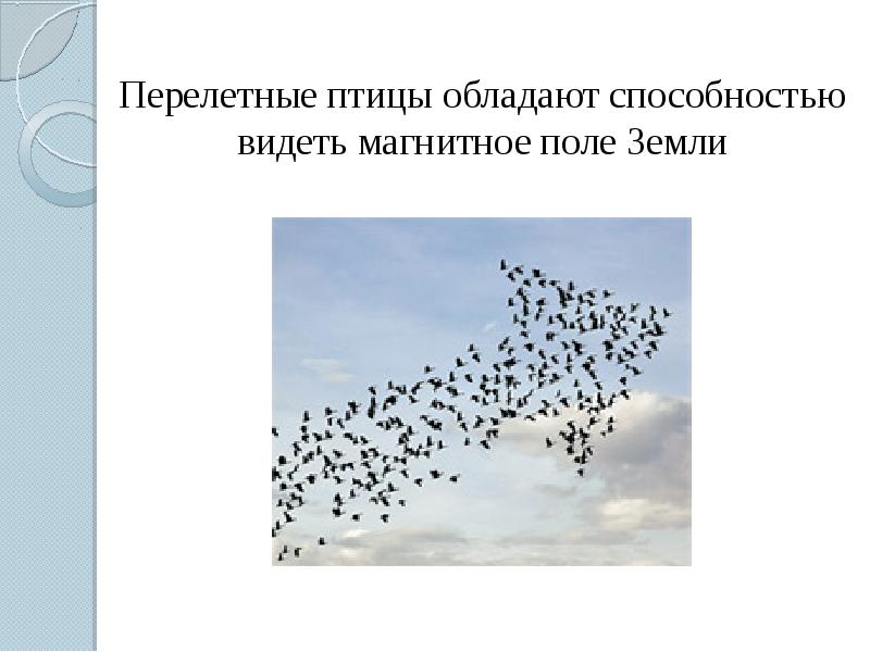 8801c8409cc9d0418b50314a51671822.jpg