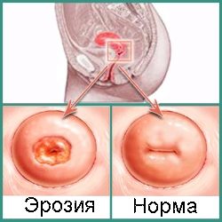 8e85ec3dc2b578037cc1d210244c4590.jpg