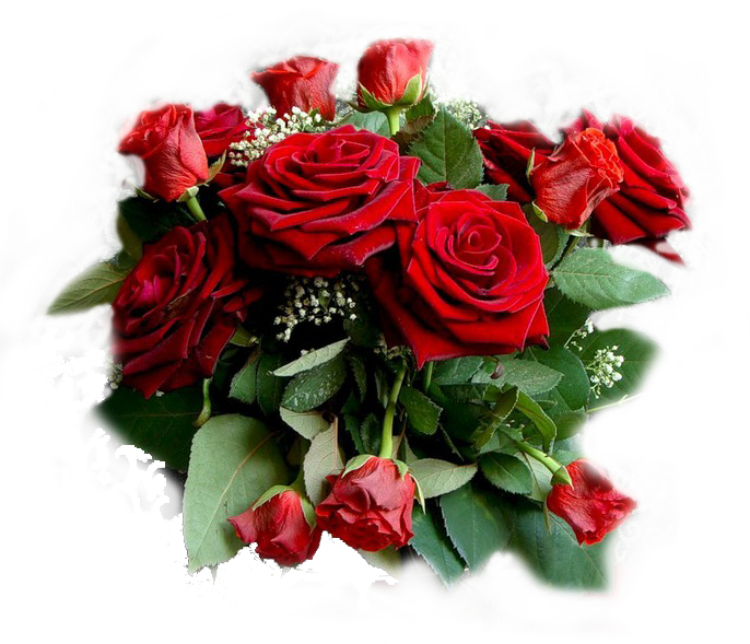 a4beac3e846538b1d2fa6712a757ea94.png