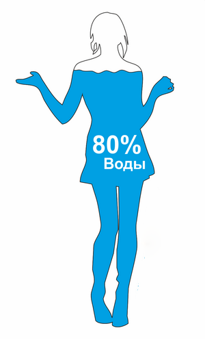 a6010de529cc68b1d55a9fcd8a518ae8.png