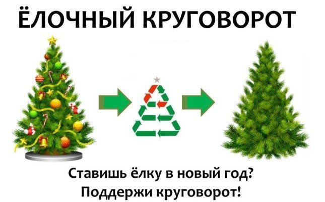 a833812fc9177a9b4767c42378f68584.jpg