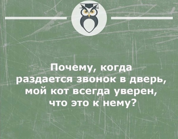 2a27f0a5b78c.jpg