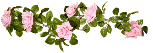 018f1f02cc01e5a7efbde06f1dbe9273.jpg
