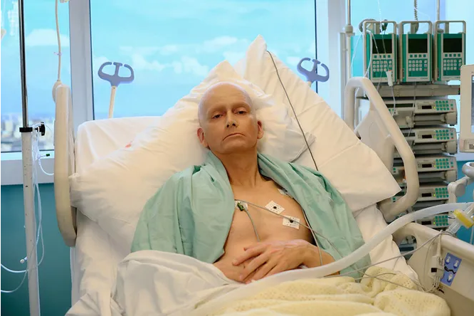 Screenshot 2022-12-13 at 21-53-44 Ведьмак в окружении спецслужб 7 сериалов декабря.png