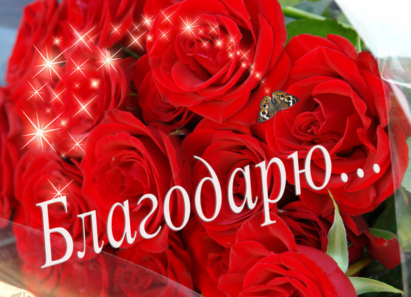 bdc8c8b838a5452c461d1a800a630298.jpg