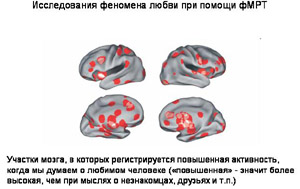 c10ac26b50a588020fde6895b4d9f7bc.jpg