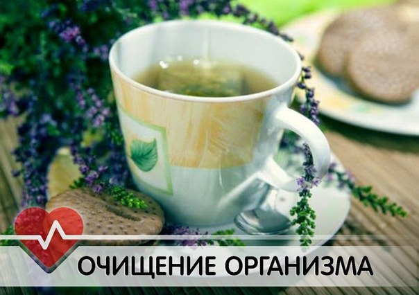 cac262ecbb78f848e76f626b36ee1add.jpg