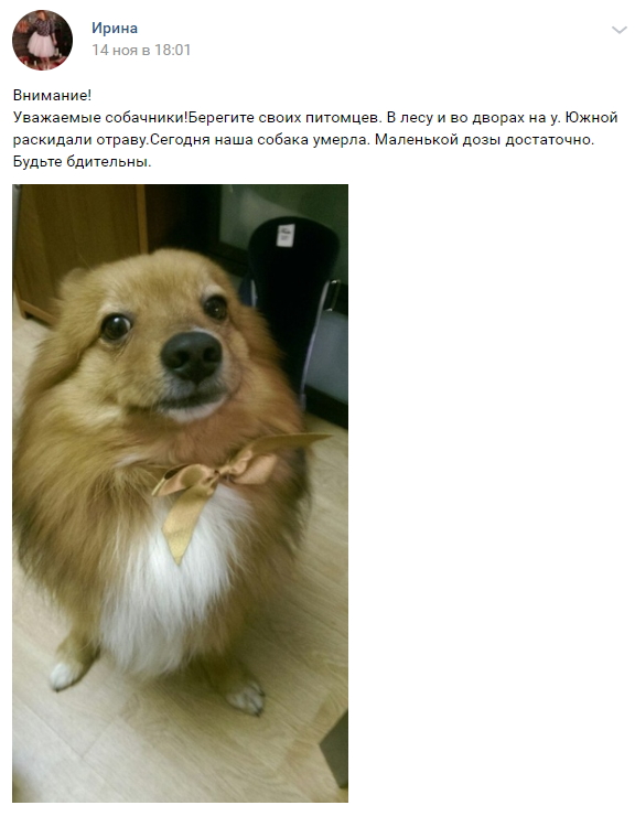 caf42c72a3f921edcbe6477f12f3e61d.jpg