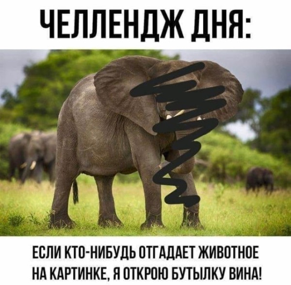 8883df5be6d1.jpg