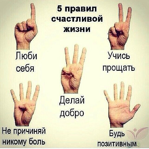 e2da3d02d29078e76c5dfc4572d43265.jpg