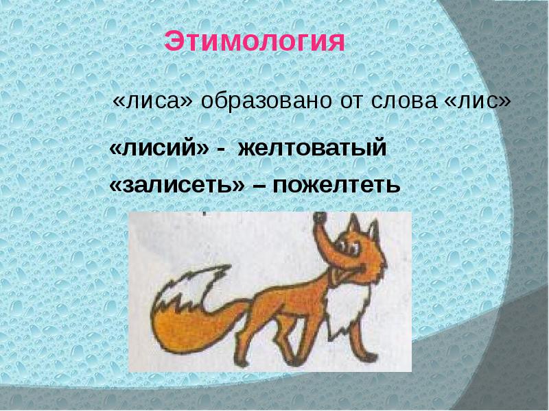 e3d7a746f4e866a2e65f38f4ab2165b4.jpg
