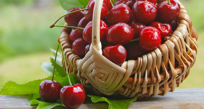e4d8a98d4fa29b5923ca6cdb90b3dd82.jpg