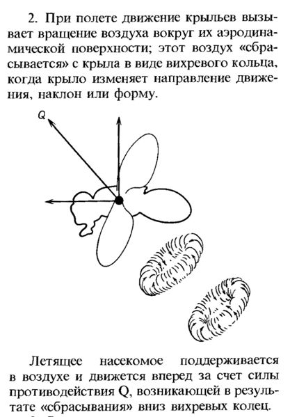 ed3ee6e9cf27e103b9a740f6778d0e8e.jpg