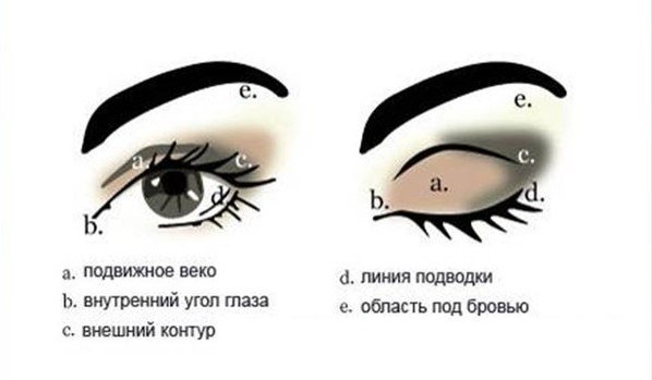 f056bb1f48224364fecd5a466c4fb1e0.jpg