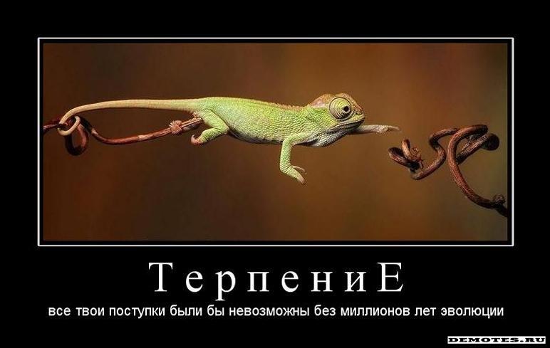 f198a7d49da0444db428c873ebb61c3a.jpeg