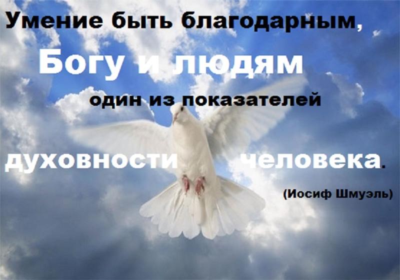 f652056bbf52ae44032b349ea88e016d.jpg