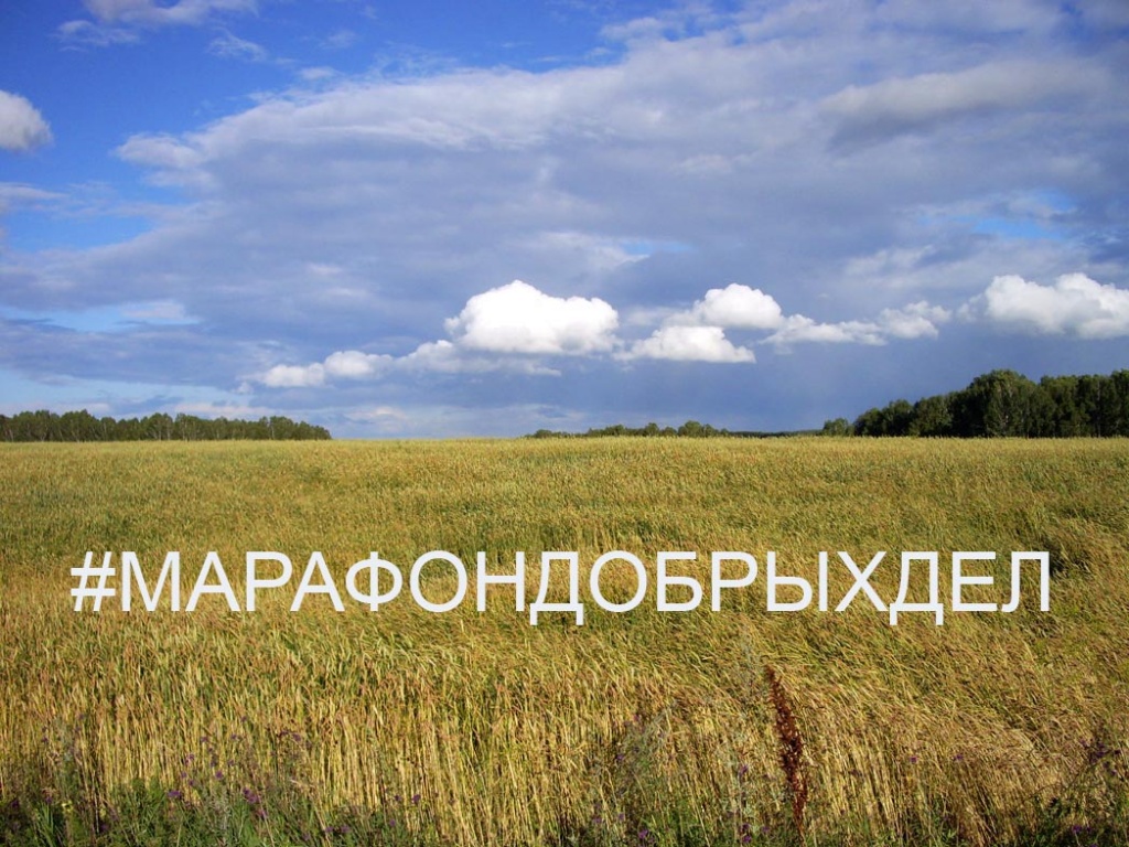 IMGP0730_ копия.jpg IMGP0730_ копия.jpg