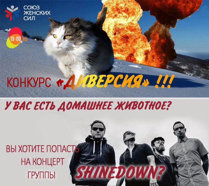 Диверсия.jpg