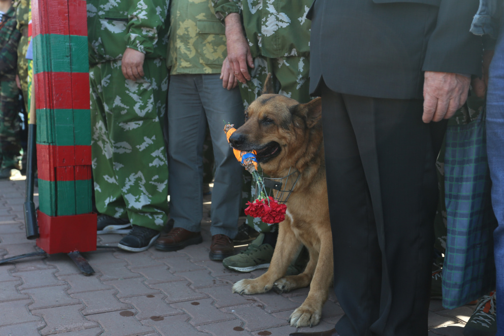 Пограничная собака.jpg Пограничная собака.jpg