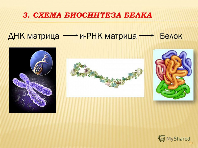 15d09ee474ed111c5fc81bc13a0503ef.jpg