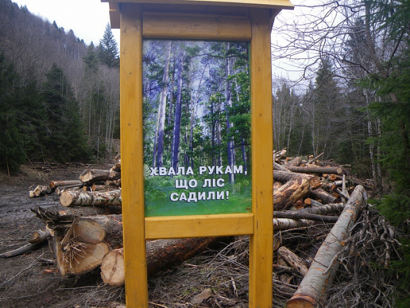 22cde63b5de38b16f59dbfc234e20d01.jpg