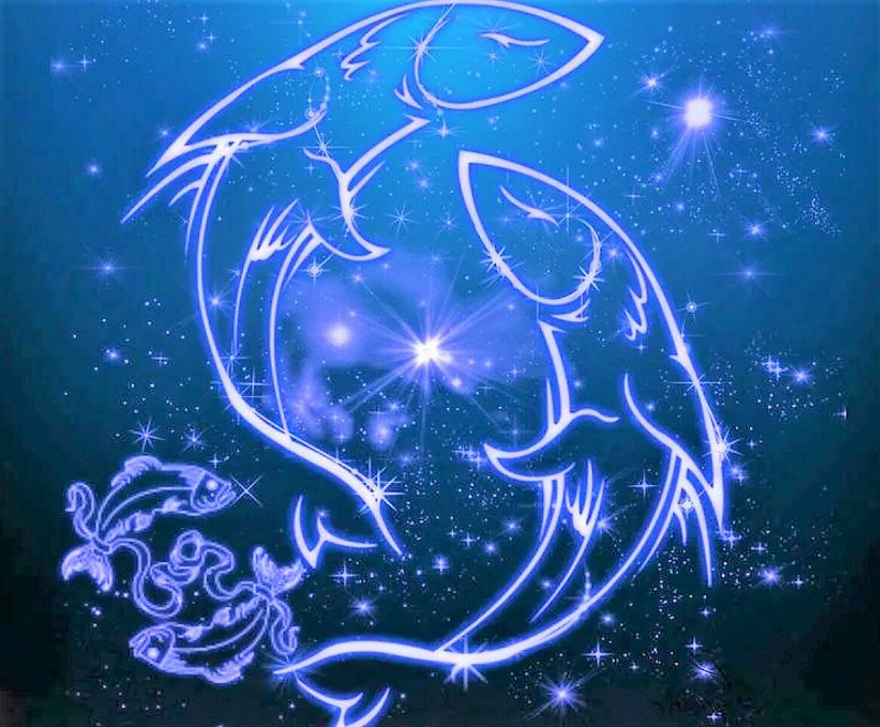 1625879835_12-funart-pro-p-ribi-zodiak-zhivotnie-krasivo-foto-23.jpg