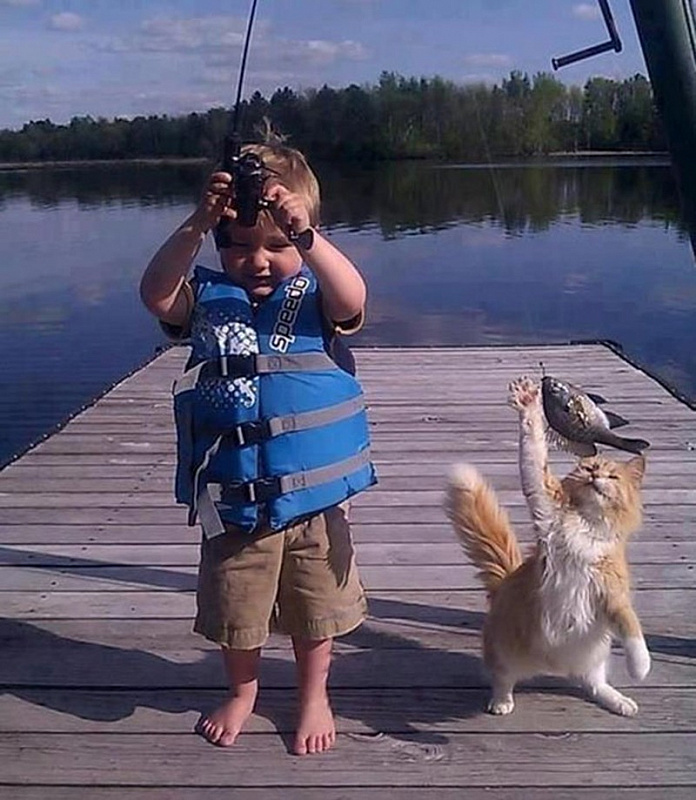 Фото_прикол_про_детей_котов_и_рыбалку.jpg
