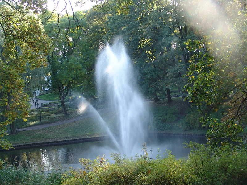 64922941d7c5d20b50539401e41113bb.JPG