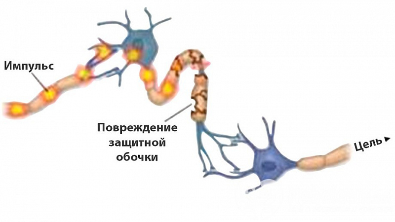 9c9303a32a6d111596265226b6ab9ab9.jpg