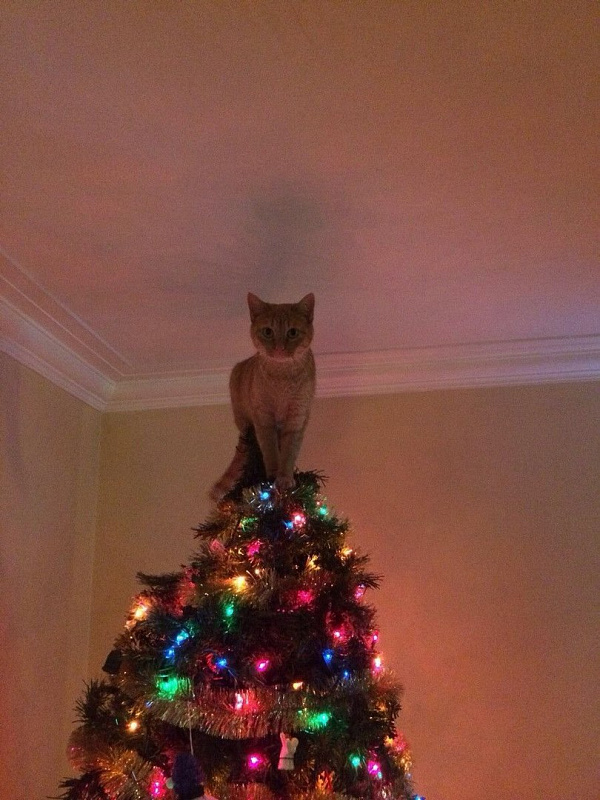 aaedc647d15e4a417e72ebcd5c752a0e.jpg