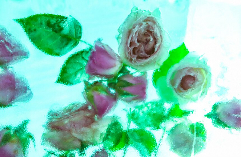 nAgWUB67nUJkzJ7jP6aM_JjymILt-dvtg32Qhv2YqzbZJC3PU2mchDZh84he-A6e_YaM932QJY89DvT92GFwYSSM9HRGvUSGmj3rDRC2q2tOdTAEqyAzwW6_LRKfRTpQC7w=E39ycFYYJgp3kzmfsDzHvQ.jpg