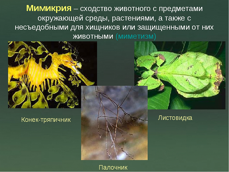 fd7cd84b9009edbce0d009e93d9e6efc.jpg